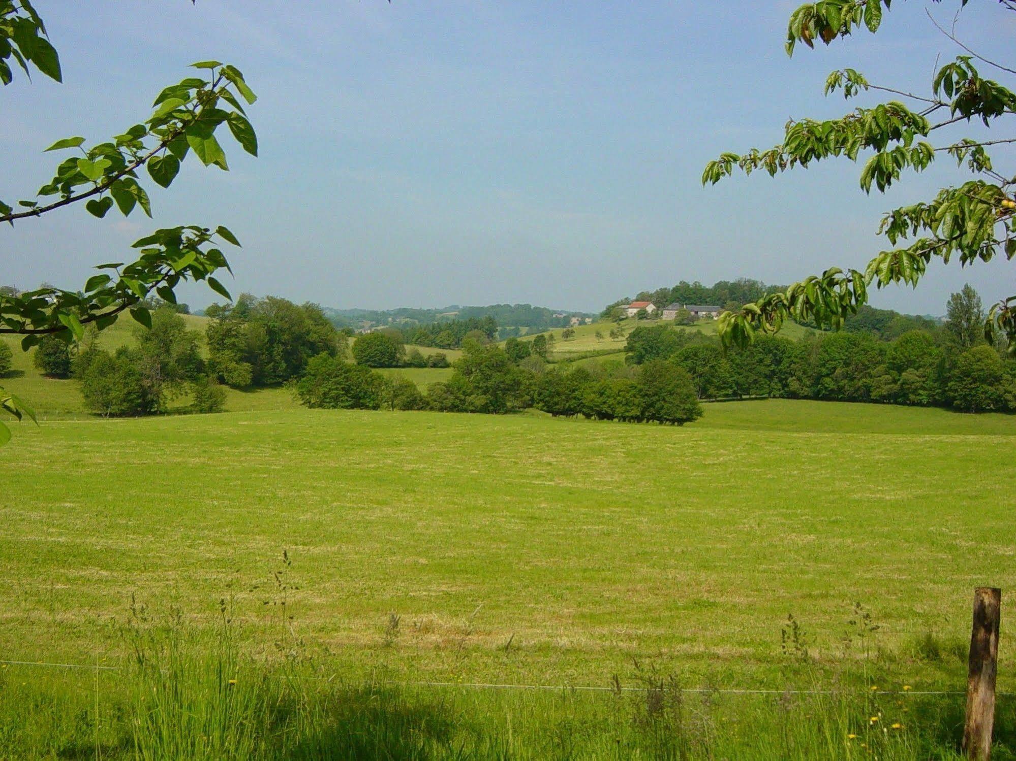 לינה וארוחת בוקר Saint-Germain-les-Vergnes Domaine De La Clauzade מראה חיצוני תמונה