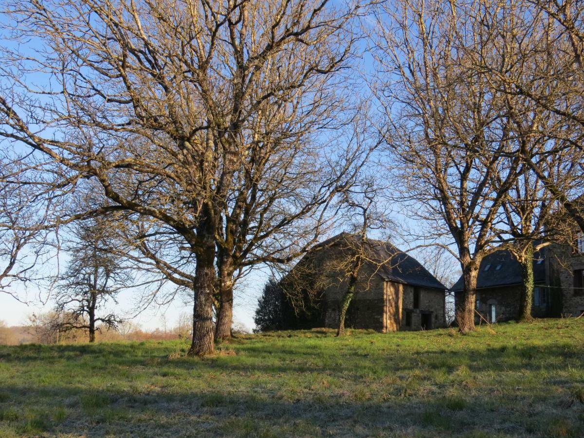 לינה וארוחת בוקר Saint-Germain-les-Vergnes Domaine De La Clauzade מראה חיצוני תמונה